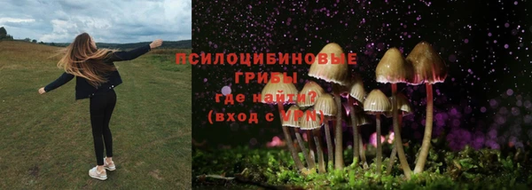 мет Армянск