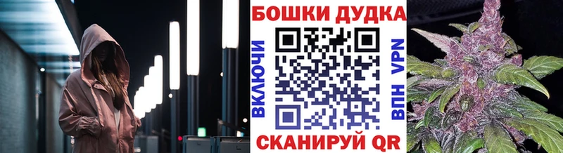 купить наркотик  Жуковка  Бошки марихуана ГИДРОПОН 